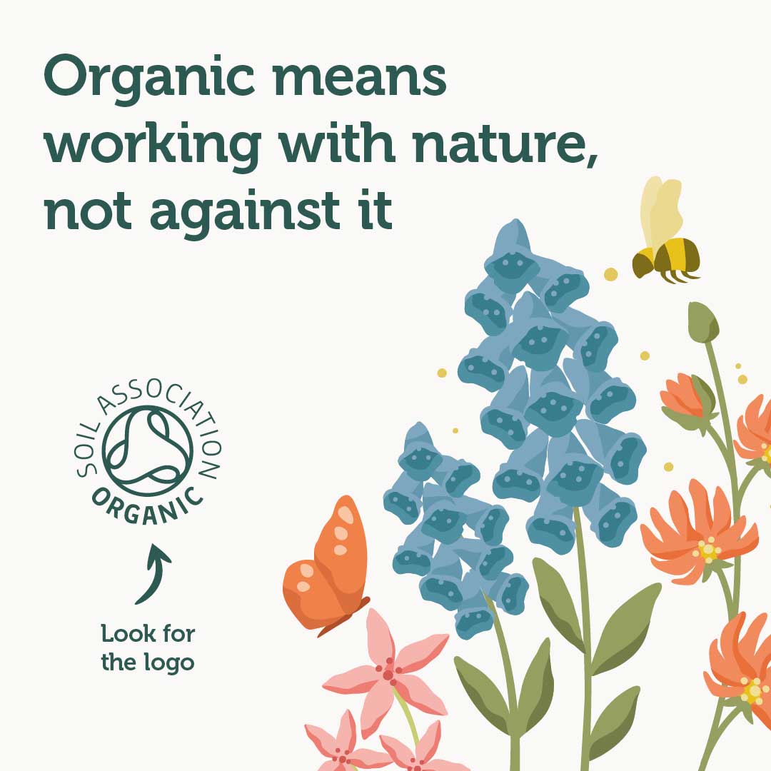 Why We Are Certified Organic