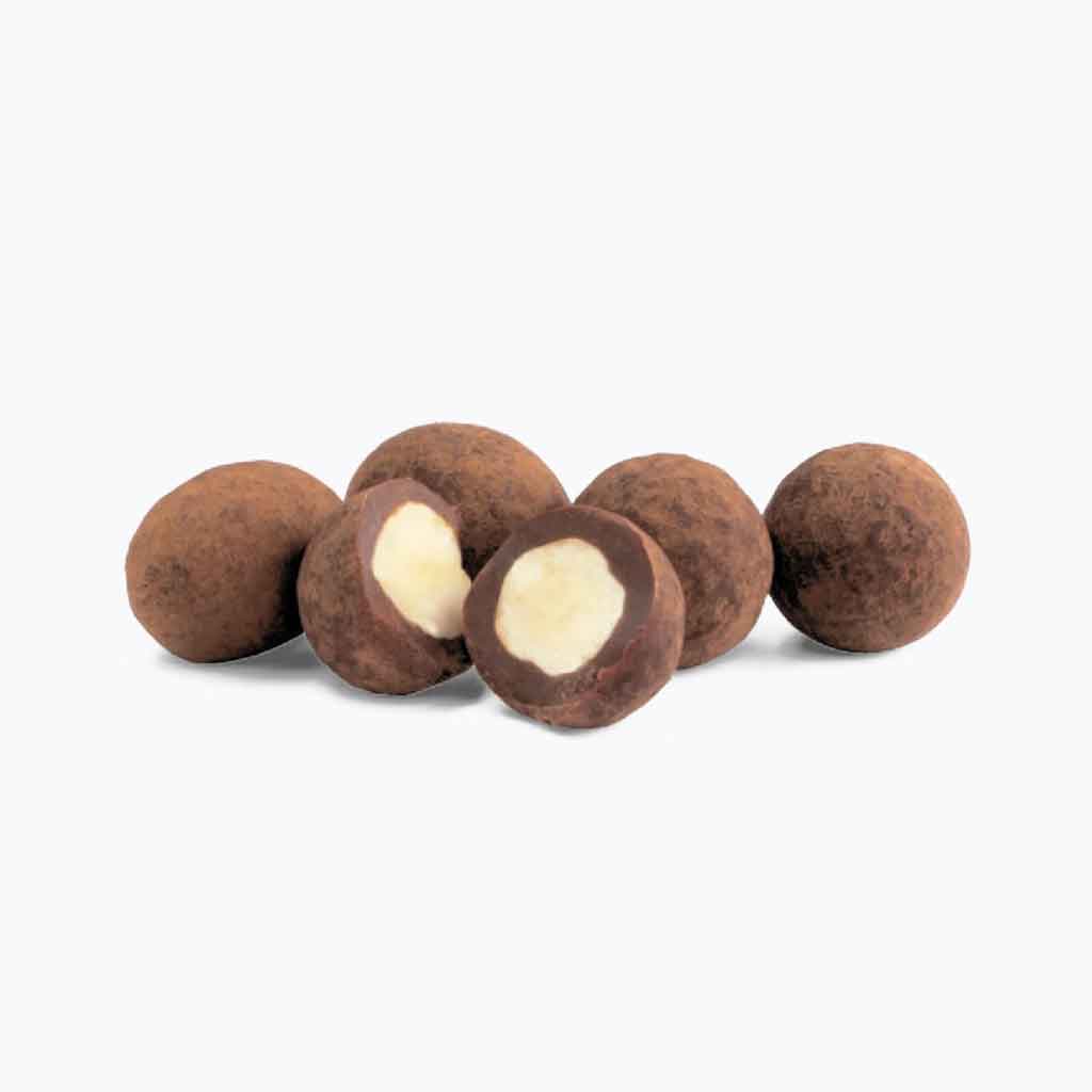 Raw Chocolate Salted Hazelnuts - Organic, Vegan