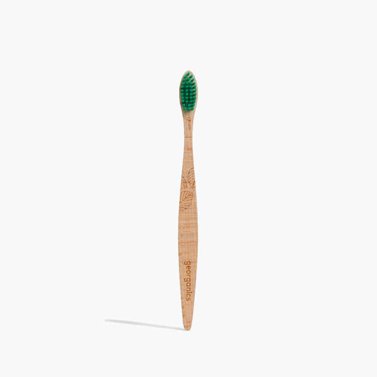 Eco Friendly Toothbrush - Beechwood