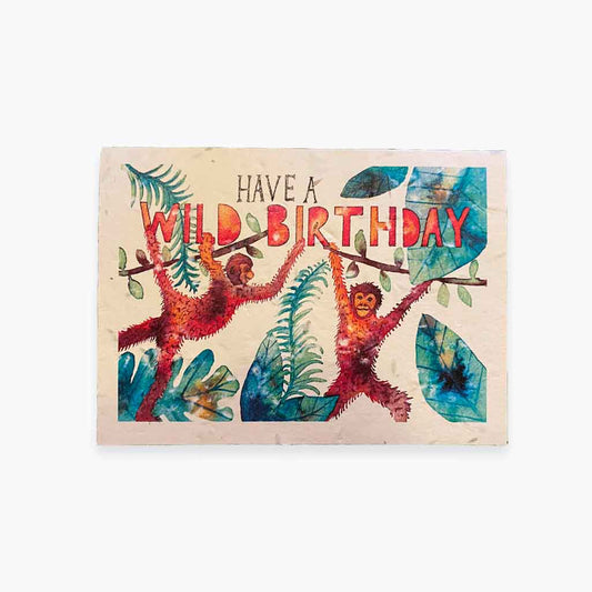 Happy Birthday Wildflower Seed Card