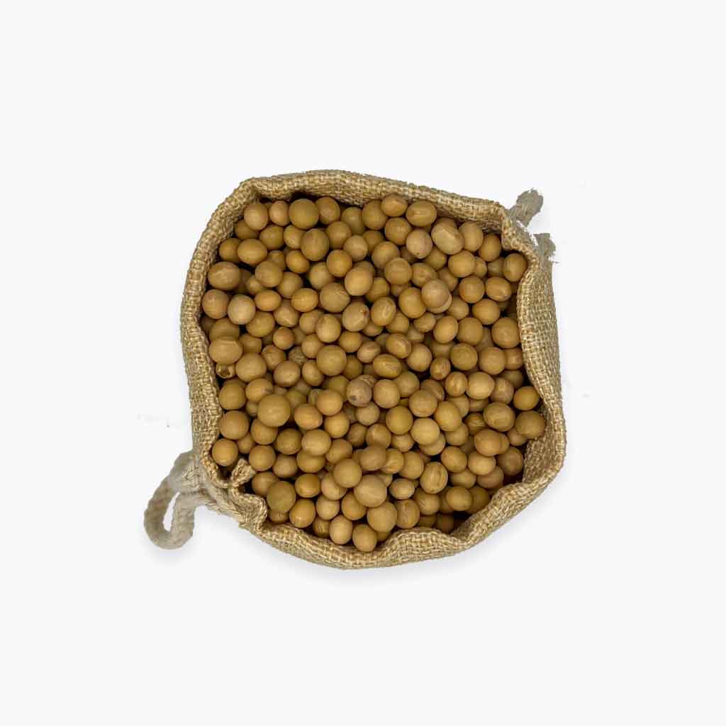 Soya Beans - Organic – ZeroWasteBulkFoods