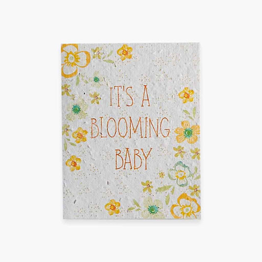 New Baby Wildflower Seed Card